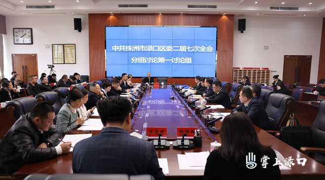 李晓彤参加区委二届七次全会第一讨论组分组讨论