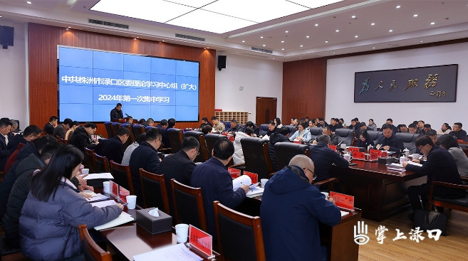 区委理论学习中心组（扩大）举行2024年第一次集中学习