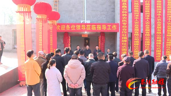 茶陵县鑫农种养农民专业合作社揭牌成立