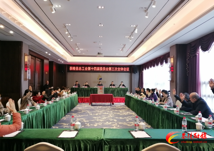 茶陵县总工会召开第十四届委员会第三次全体会议