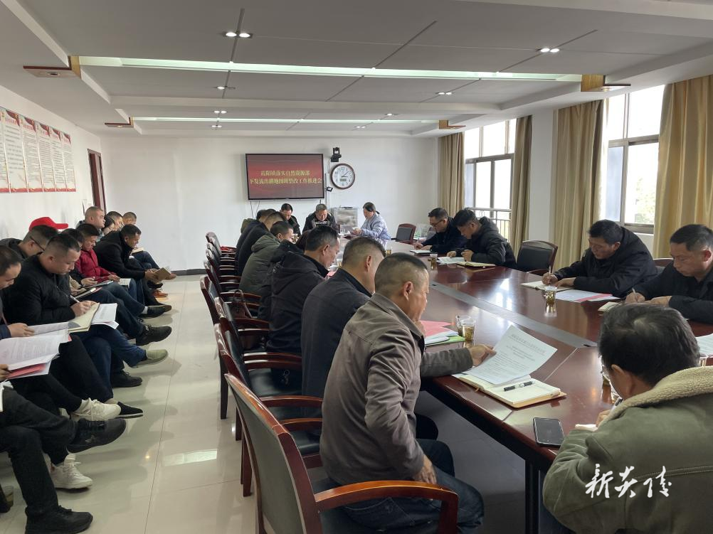 霞阳镇全力推进耕地流出图斑整改工作
