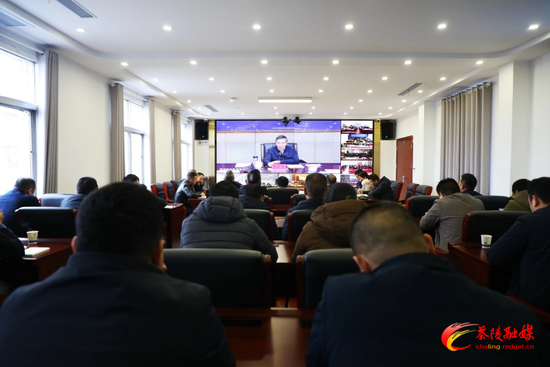 茶陵县组织收听收看全市雨雪冰冻天气防范应对工作电视电话会议