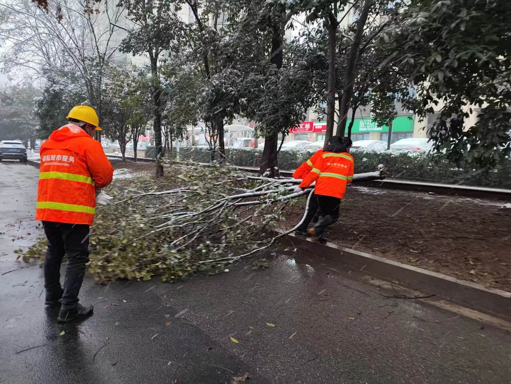 排隐患，保安全！天元城管园林中心开展城区大雪应急行动