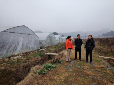 雨雪冰冻天气来临,醴陵市农业农村局在行动