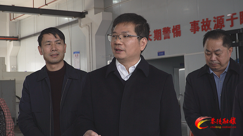 市委副书记、政法委书记王卫安来茶调研指导工作