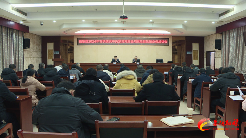 茶陵县召开2024年专项债及中央预算内资金项目策划包装业务培训会