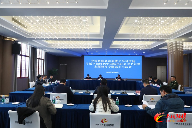 茶陵县委常委班子召开主题教育专题民主生活会