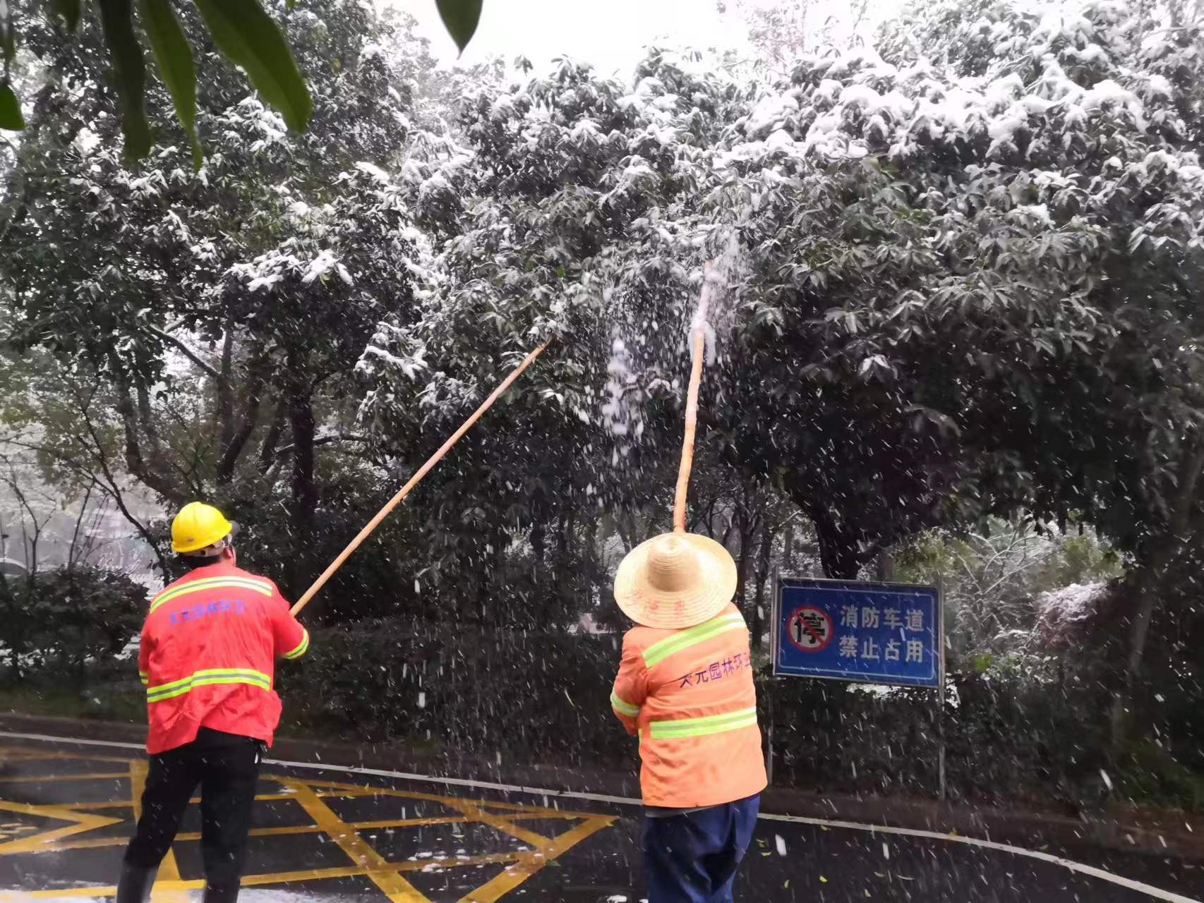 排隐患，保安全！天元城管园林中心开展城区大雪应急行动