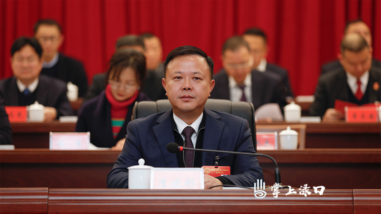 渌口区二届人大四次会议举行第二次全体会议