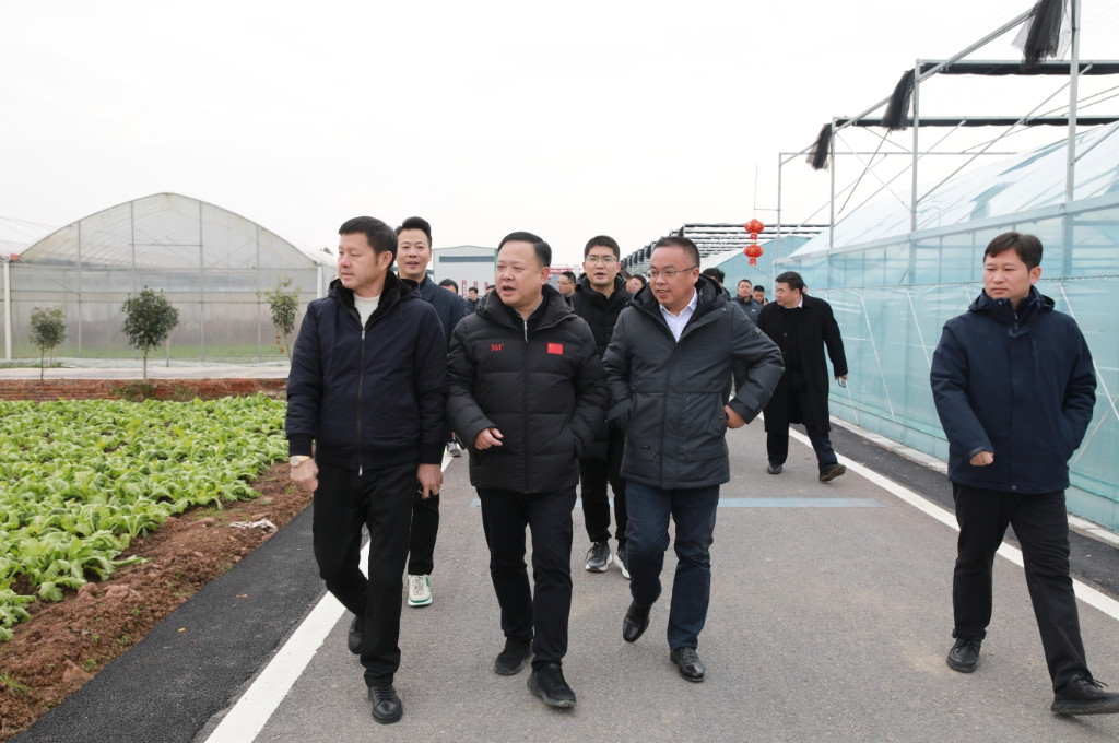 李晓彤率队到衡阳市石鼓区考察学习现代设施农业高质量发展