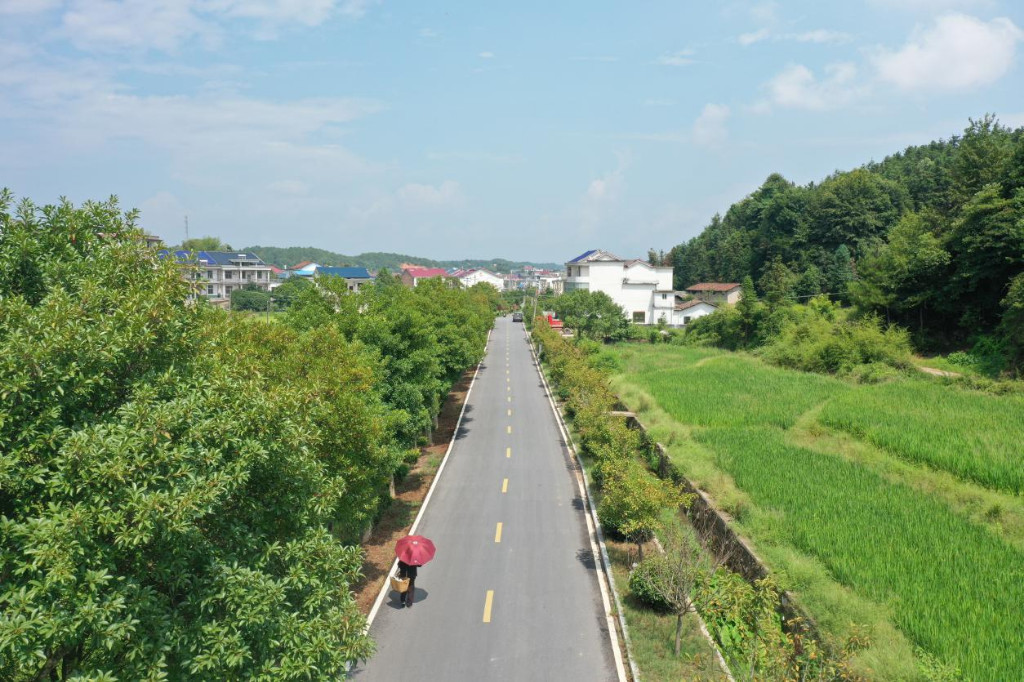 攸县成功创建2023年“四好农村路” 省级示范县