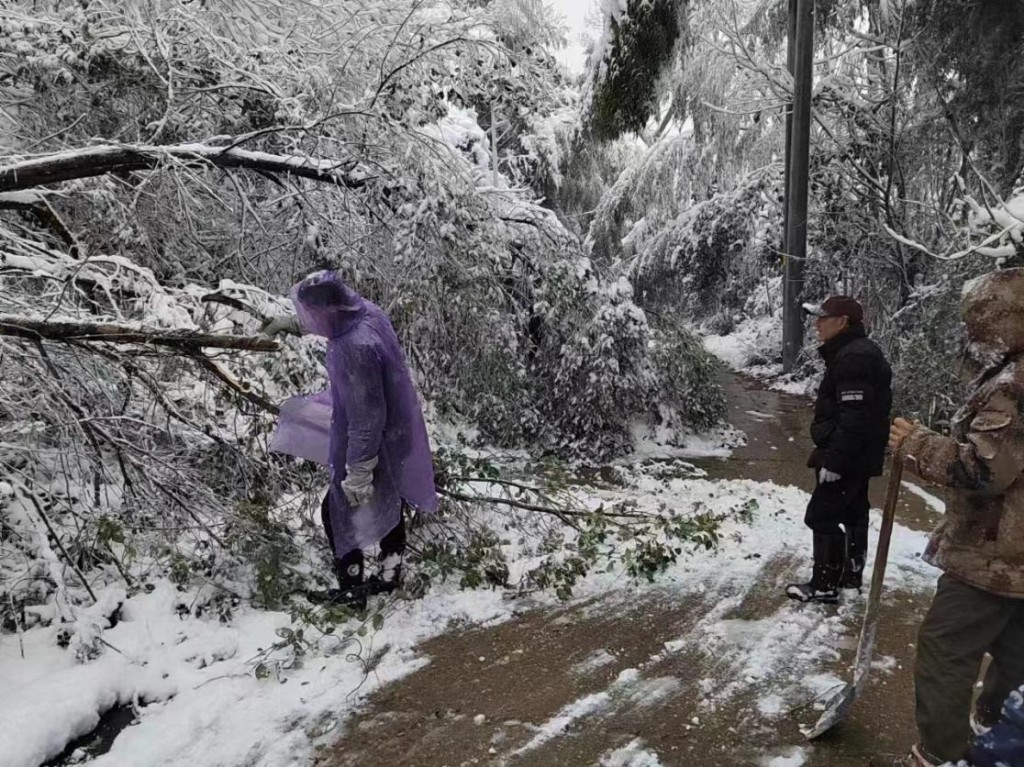 株洲：退役军人积极投身除冰清雪突击战