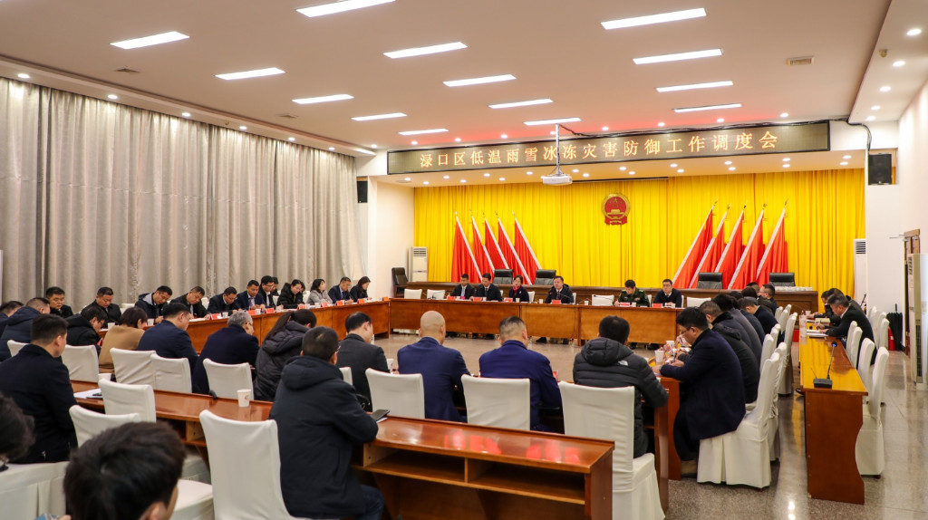 李晓彤紧急召开低温雨雪冰冻灾害防御工作调度会