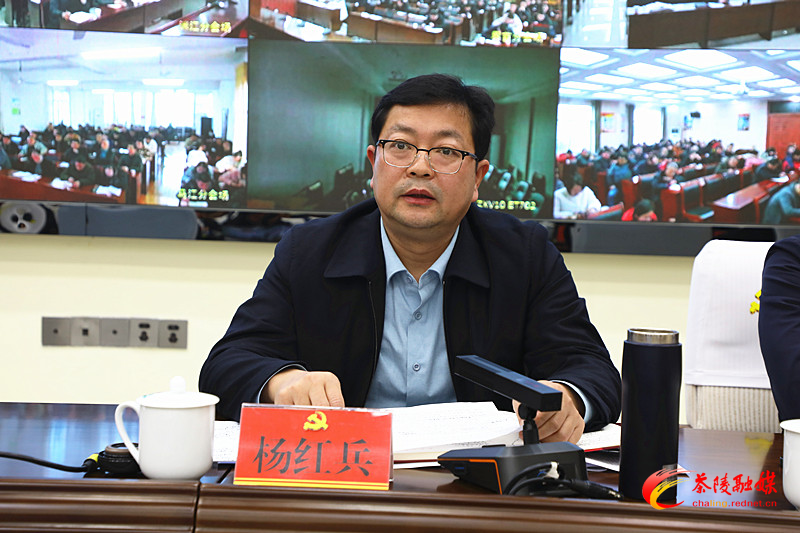 茶陵县巩固脱贫成果再动员视频会议召开