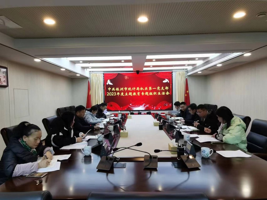 市统计局机关第一党支部召开主题教育组织生活会