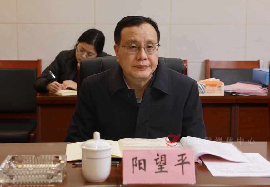 市委常委、常务副市长阳望平督导 检查煤矿安全生产工作