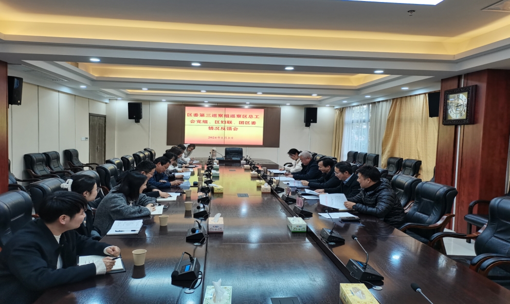 区委第三巡察组巡察团区委反馈会议