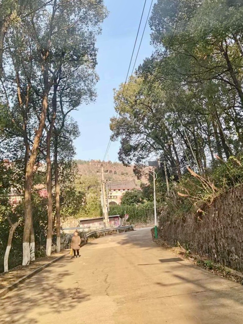 井龙街道九郎山村以道路变化改善人居环境