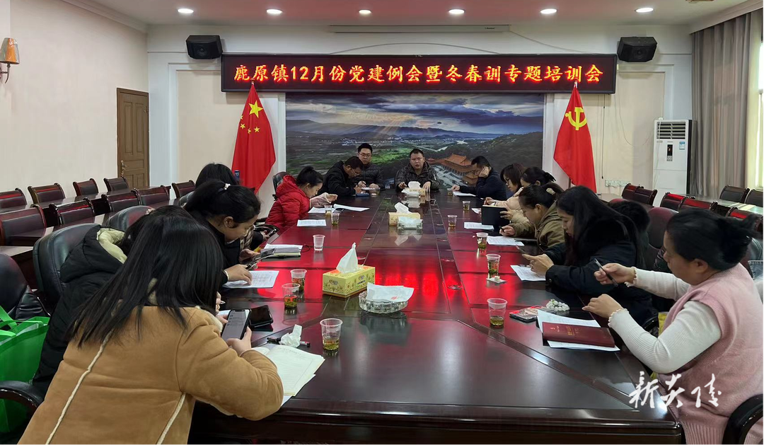 鹿原镇：提升党建工作质量 持续夯实基层基础