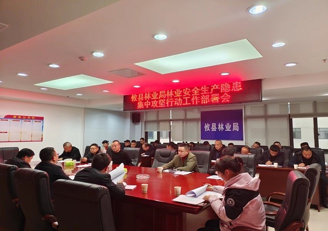 排查风险隐患，筑牢安全防线 攸县林业局在行动
