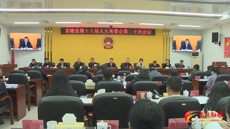 茶陵县第十八届人大常委会第二十次会议召开