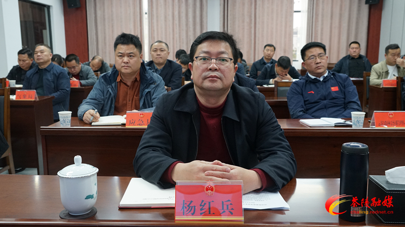 茶陵县组织收听收看全市雨雪冰冻天气防范应对工作电视电话会议
