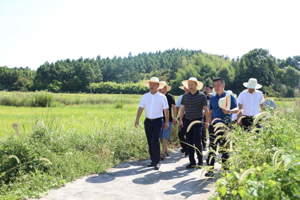 【自然追梦人】锚定目标 奋勇争先——记全国自然资源系统先进集体渌口区自然资源局