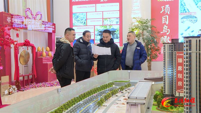 茶陵县政府组织开展房地产行业发展及相关政策落实情况调研