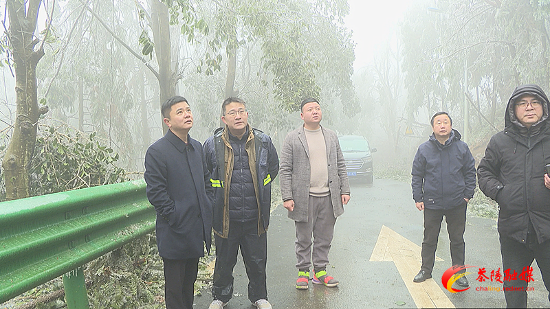 多部门联合开展低温雨雪冰冻天气期间地质灾害隐患巡查工作
