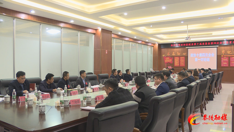 政协茶陵县第十届委员会第四次会议：开展分联组第二次讨论 邓元连、唐杰、刘晓伟等领导参加讨论