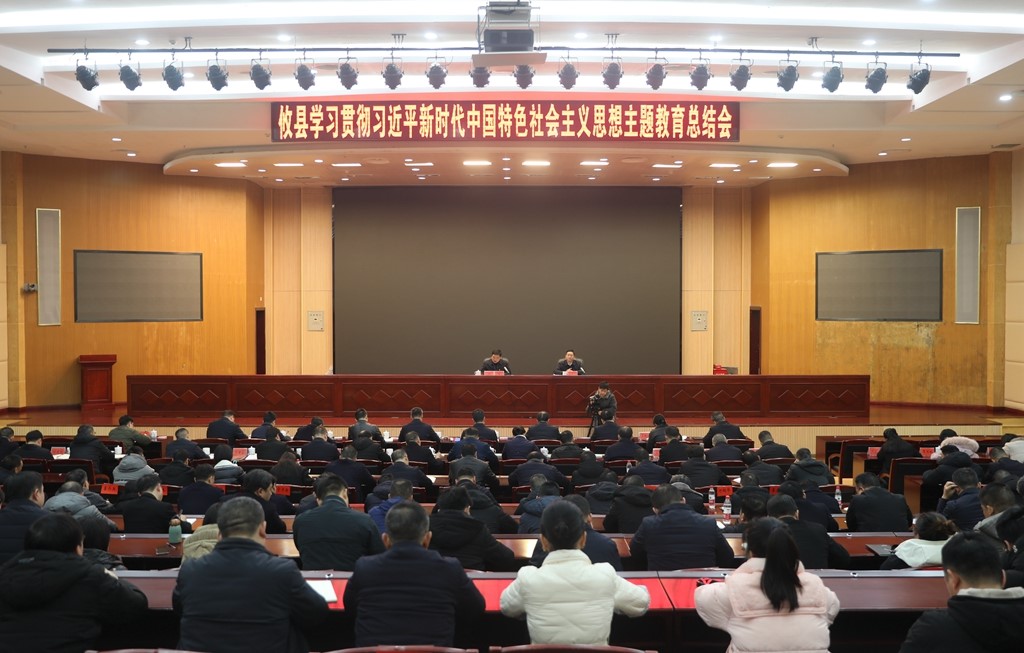 攸县召开学习贯彻习近平新时代中国特色社会主义思想主题教育总结会议