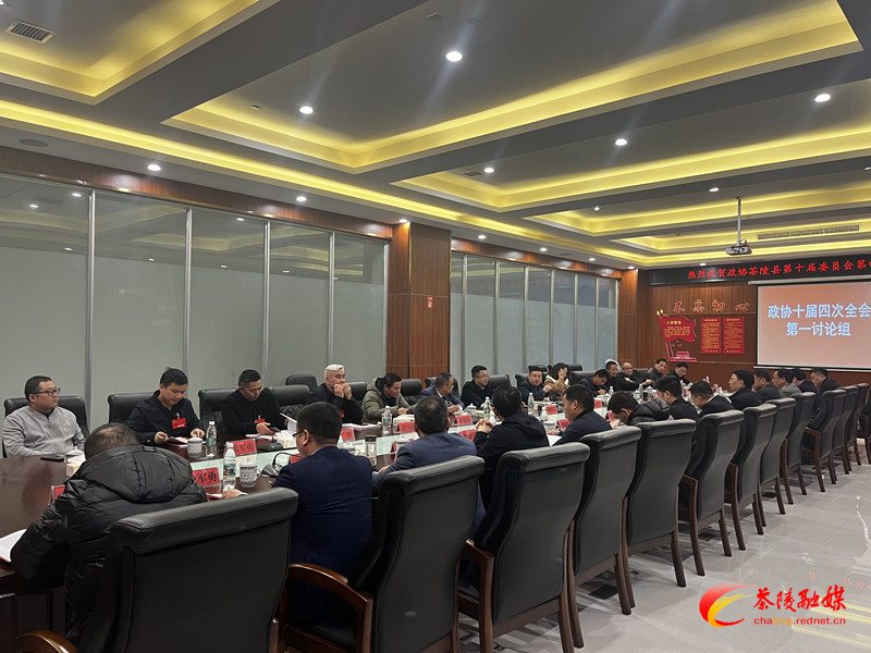政协茶陵县第十届委员会第四次会议：开展分联组第一次讨论 刘晓伟等领导参加讨论