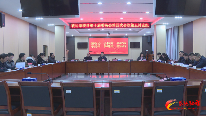 政协茶陵县第十届委员会第四次会议：开展分联组第二次讨论 邓元连、唐杰、刘晓伟等领导参加讨论