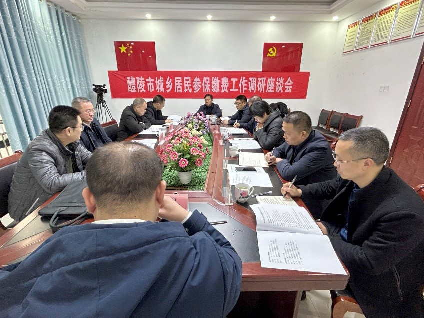 株洲市人民政府副市长杨胜跃一行赴醴陵调研城乡居民参保缴费工作