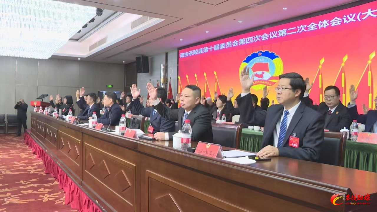 政协茶陵县第十届委员会第四次会议：举行第二次全体会议