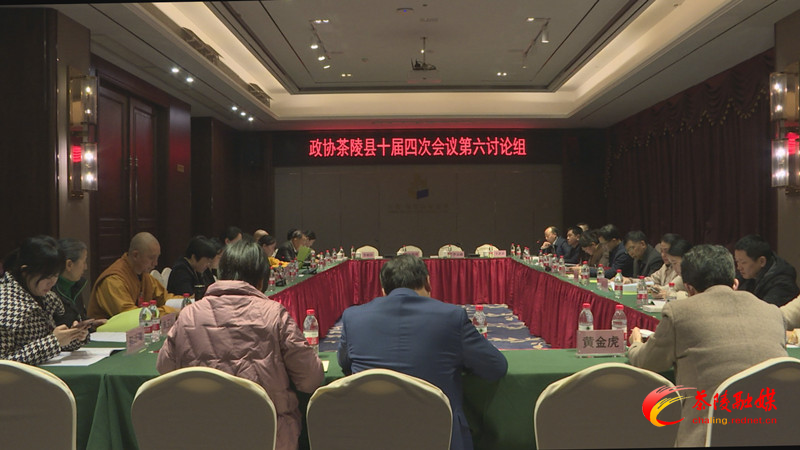 政协茶陵县第十届委员会第四次会议：开展分联组第二次讨论 邓元连、唐杰、刘晓伟等领导参加讨论