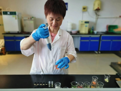 湖南醴陵市：稳固基础提能力 检测支撑出效益
