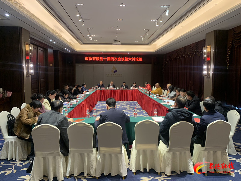 政协茶陵县第十届委员会第四次会议：开展分联组第一次讨论 刘晓伟等领导参加讨论