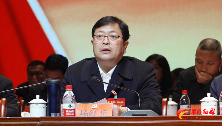 茶陵县召开三级干部大会暨文明建设表彰大会
