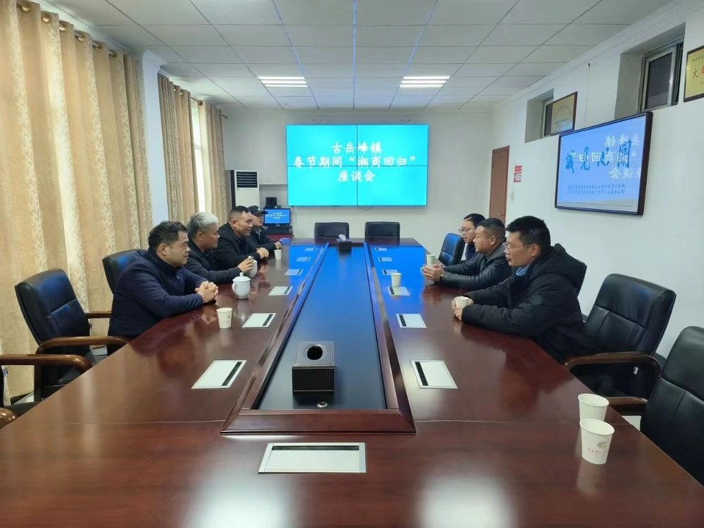 情系故里 共谋发展——古岳峰镇召开湘商回归迎春座谈会