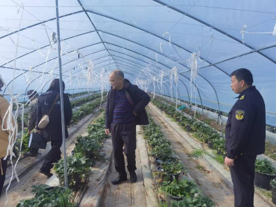 醴陵：开展春节前农产品质量安全专项检查