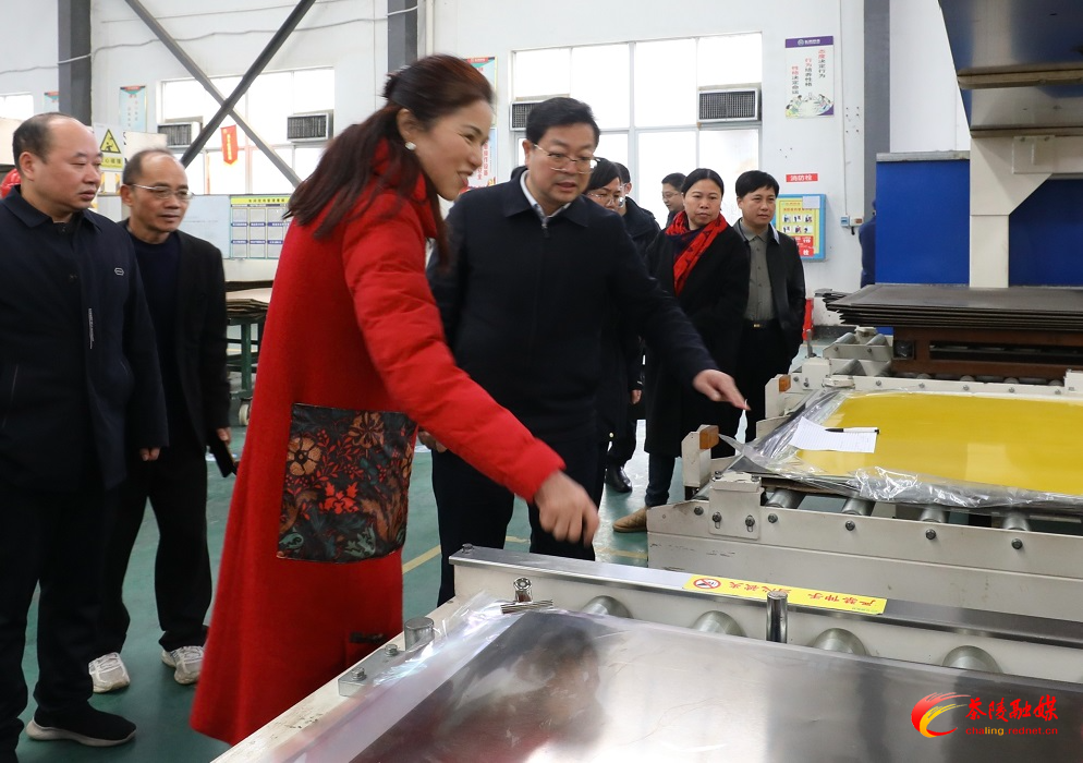 杨红兵督导安全生产、消防安全、节日保供等工作