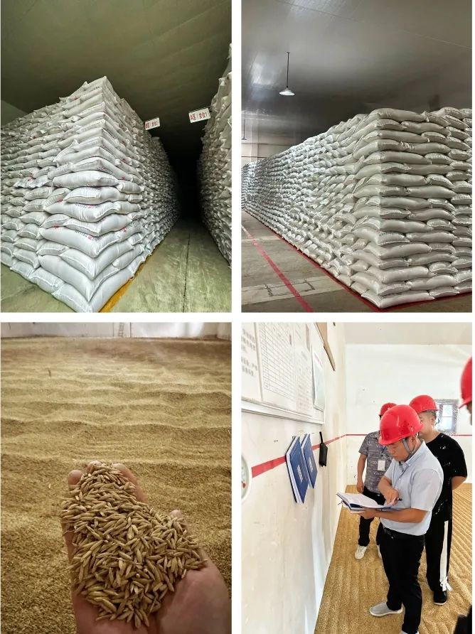 打好粮食流通储备组合拳 夯实我市粮食安全根基