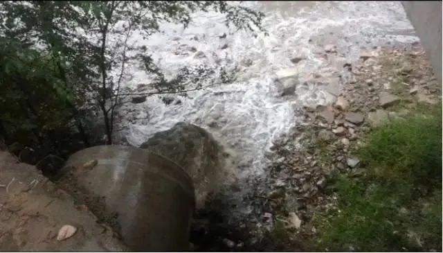 中央督察曝光了哪些共性问题?未来督察重点是什么?