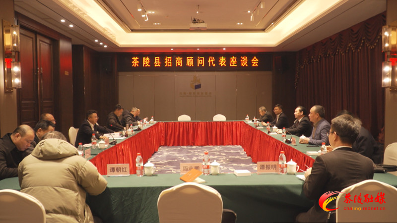 茶陵县政协招商顾问代表座谈会召开