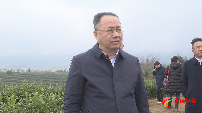 聂方红一行来茶调研