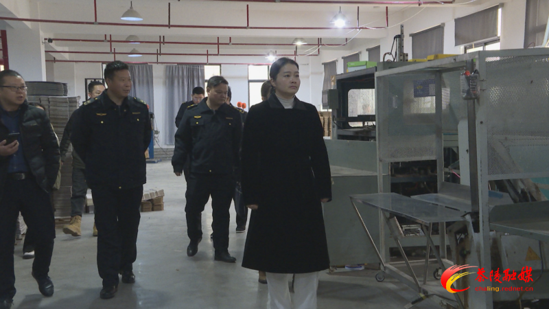 茶陵县政府组织开展安全生产专项检查