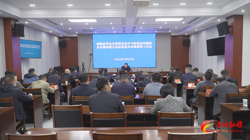 茶陵县组织收听收看全市雨雪冰冻天气防范应对工作电视电话会议