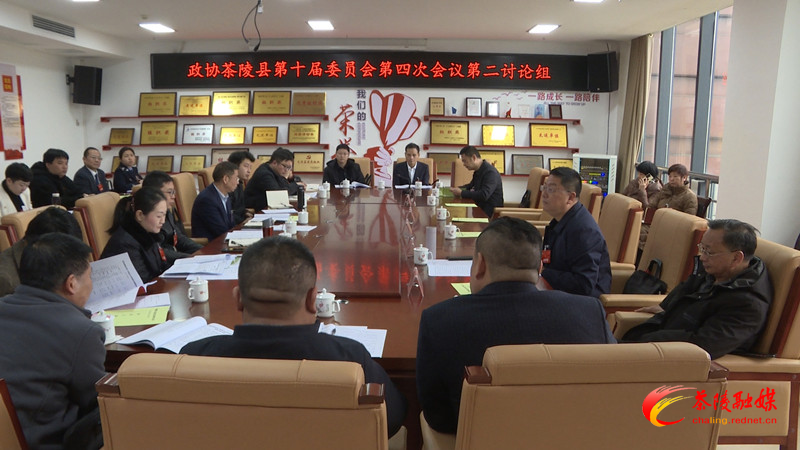 政协茶陵县第十届委员会第四次会议：开展分联组第二次讨论 邓元连、唐杰、刘晓伟等领导参加讨论