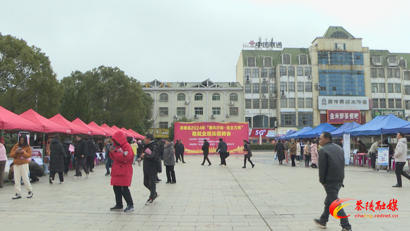 1600多个岗位!茶陵县举行年后首场招聘会